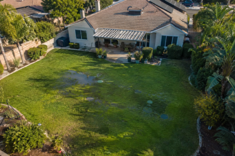 Drain Field Failure: Signs, Causes, and How to Fix It