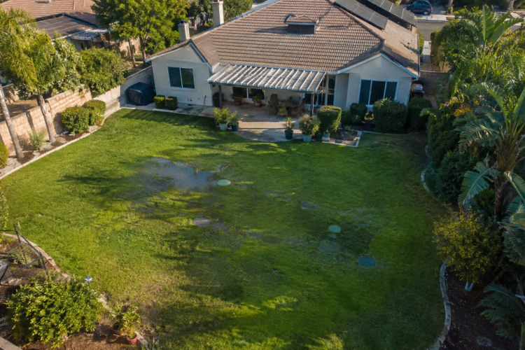 Drain Field Failure: Signs, Causes, and How to Fix It