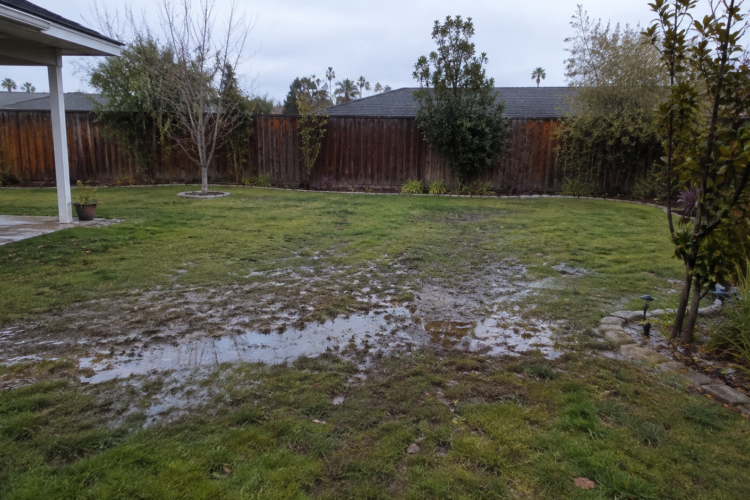 Septic Tank Backup: What to Do and Who to Call