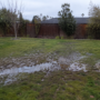 Septic Tank Backup: What to Do and Who to Call